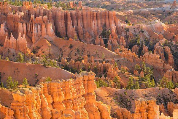 Wild Geology